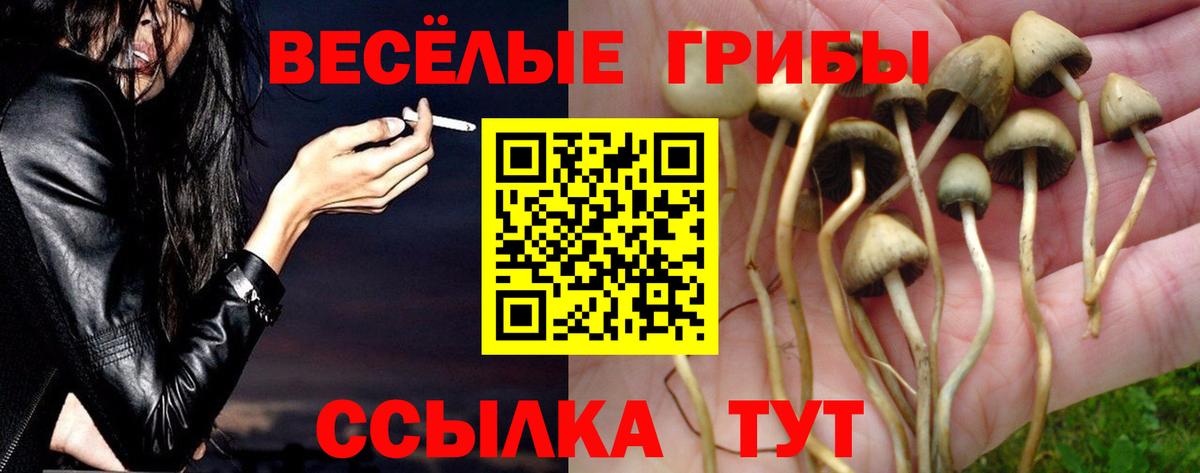 Галлюциногенные грибы Psilocybe  Псилоцибиновые грибы Psilocybine cubensis  Салехард  Вход с VPN 